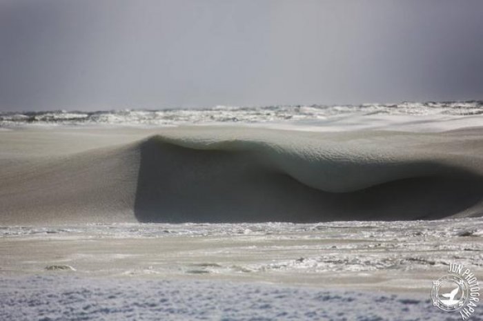 Des vagues figées dans la glace