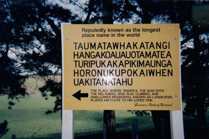 La colline de Taumata­whakatangihanga­koauau­o­tamatea­turi­pukakapiki­maunga­horo­nuku­pokai­whenua­kitanatahu (Nouvelle-Zélande)