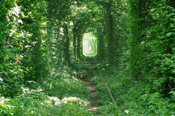 Tunnel de l'amour, Ukraine