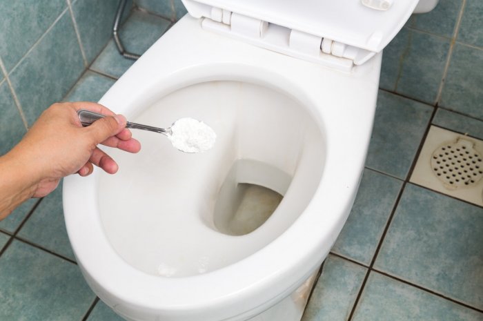6. Nettoyer la cuvette des WC