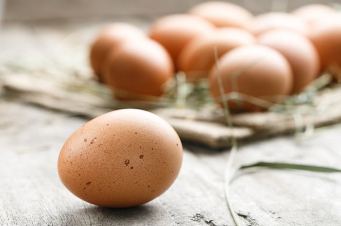 Que signifie l’expression : "On ne peut pas tondre un œuf" ?
