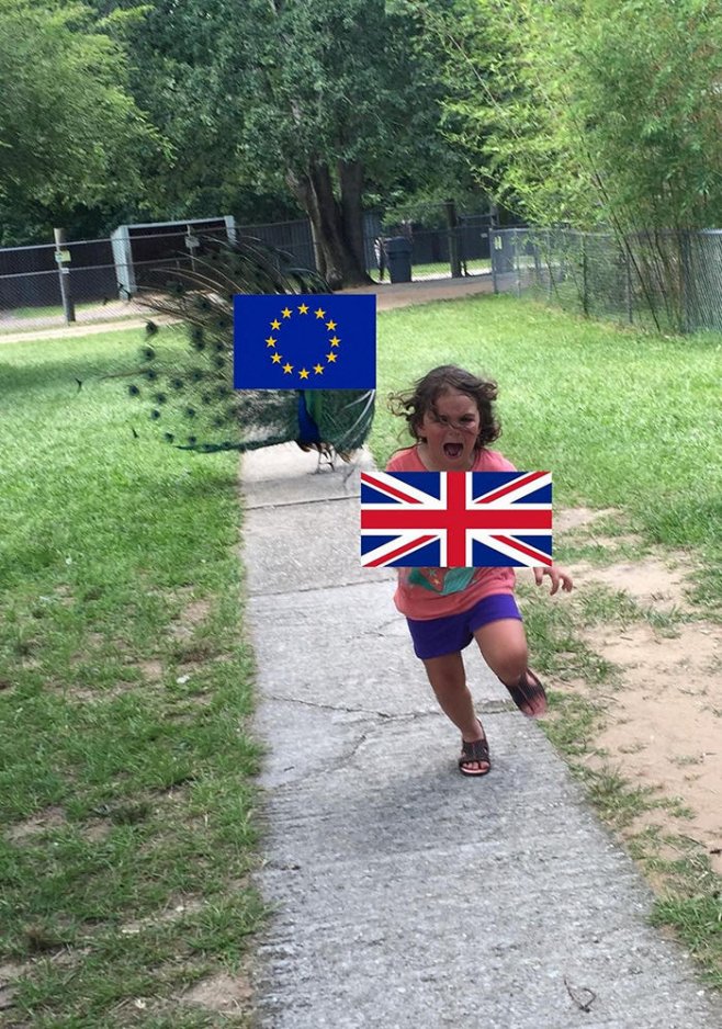 Le Brexit illustré en une image !