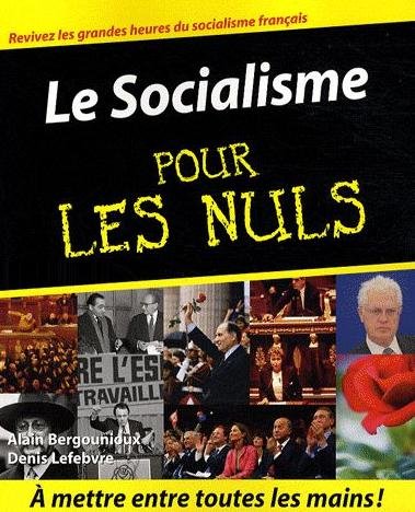 Le livre "Le socialisme pour les nuls"