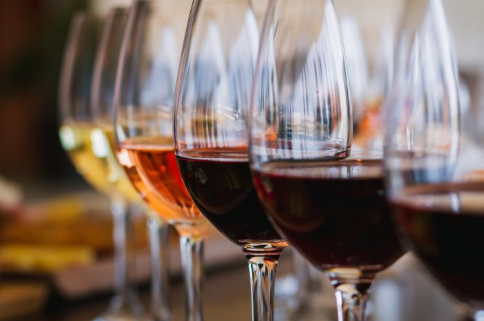 Un investissement dans le vin et la vigne