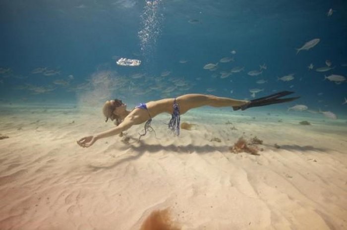 Ocean Ramsey : modèle, conservatrice, instructrice de plongée, apnéiste