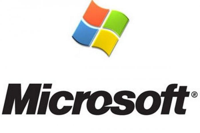 Plus de 500 salariés : 1 - Microsoft