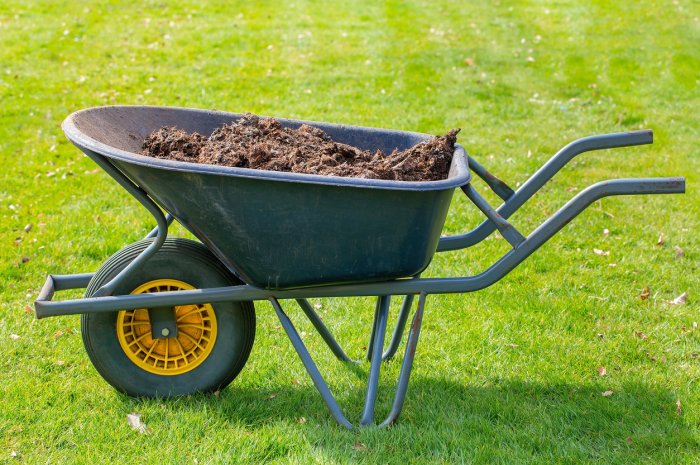 Automne et printemps : le compost pour votre pelouse