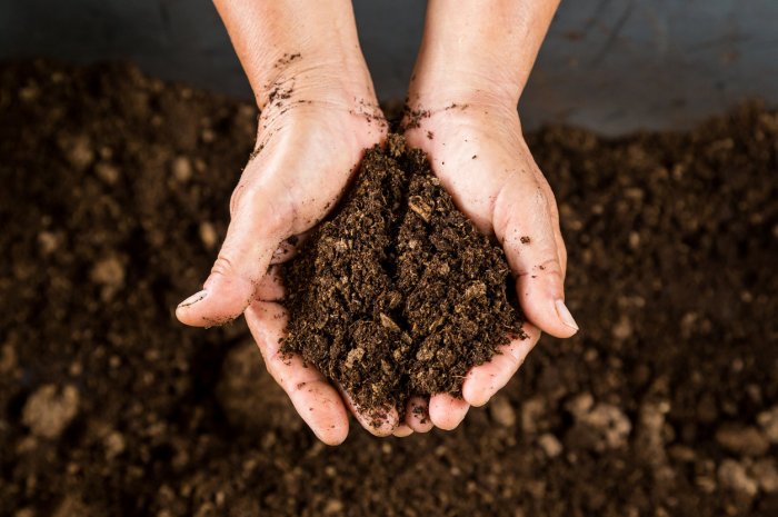 Toutes saisons : le compost comme terreau