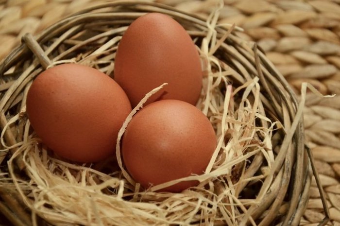 Conseil n° 2 : ne mettez pas tous vos œufs dans le même panier