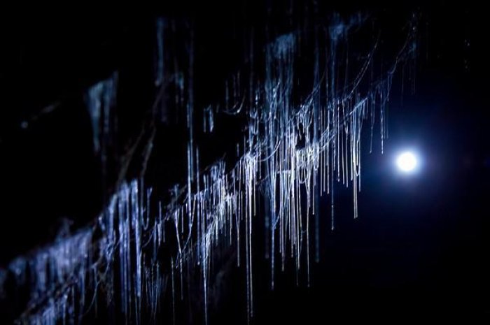 Photos : l'incroyable grotte aux lucioles bleues de Nouvelle-Zélande