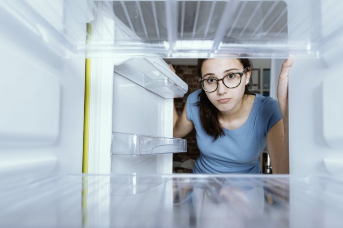J-1 avant le départ : nettoyez votre réfrigérateur