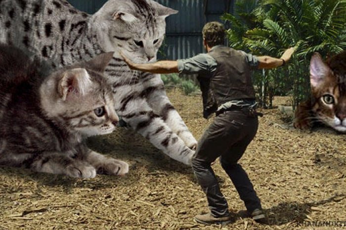 Quand les chats font la loi dans "Jurassic Park" !