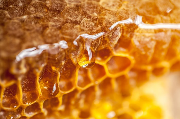 Le miel 