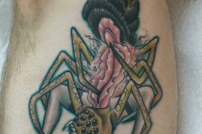 Une araignée vagin