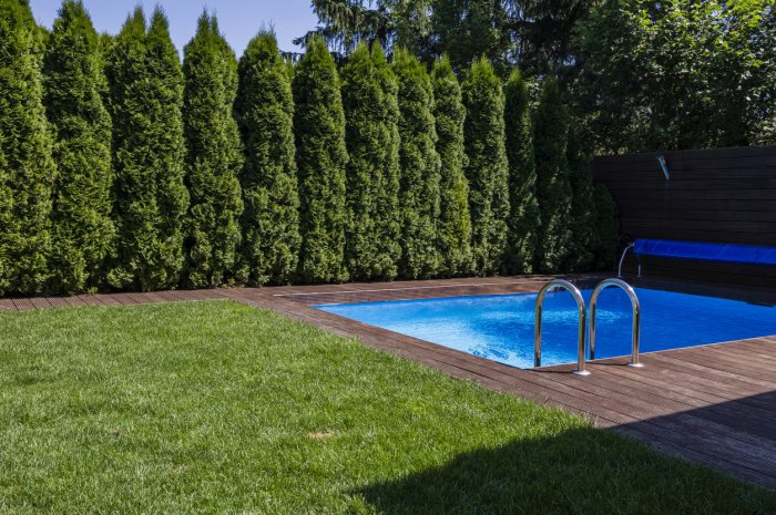 La mini-piscine ou la piscine hors sol, idéale pour les petits jardins