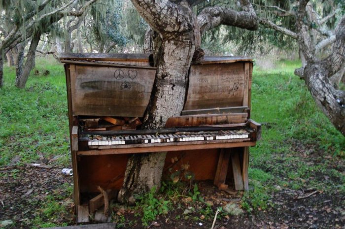 L'arbre et le piano