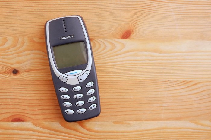 Le Nokia 3310
