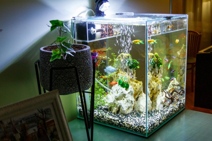 Éteindre l’éclairage d’un aquarium en journée sur 1 an