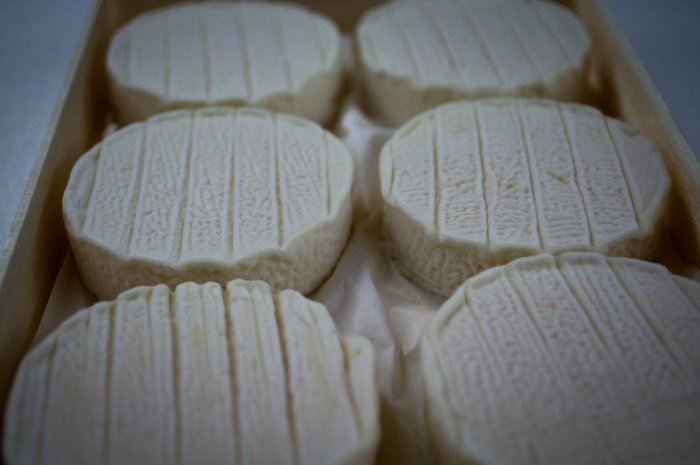 Plusieurs fromages de chèvre au lait cru de la marque Fromagerie du Thouet
