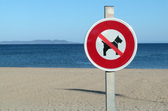 Ne pas promener son chien sur la plage 