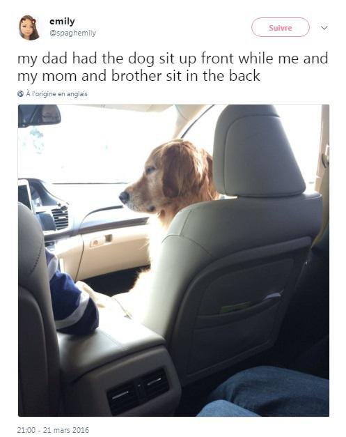"Mon père avait mis le siège pour chien à l'avant. Du coup, moi, ma mère et mon frère sommes assis derrière"