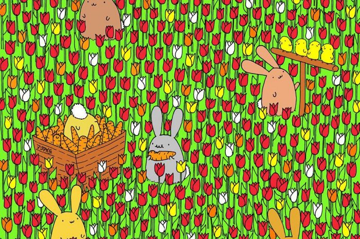 Pouvez-vous voir l'oeuf de Pâques dans ce champs de tulipes ?