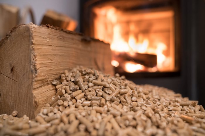 Inspectez soigneusement les bois de chauffage 