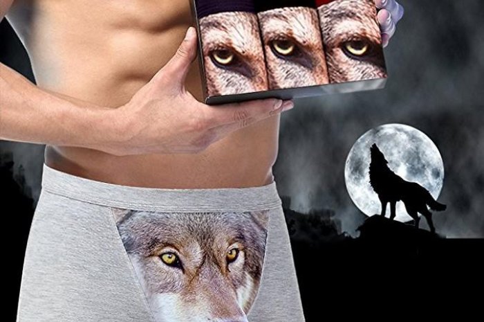 Le boxer à tête de loup en 3D : le sous-vêtement qui fait le buzz