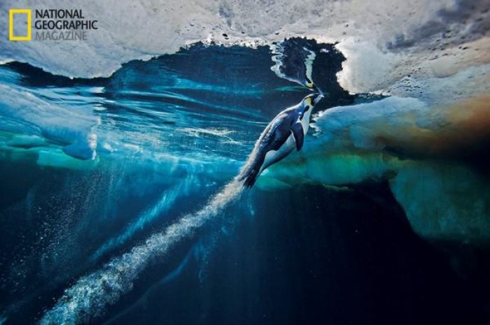 National Geographic : 125 ans de photos extraordinaires