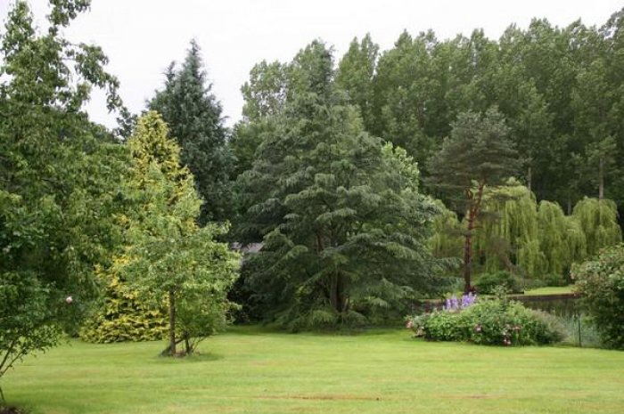 Prix du Jardin en devenir : Le Jardin de M Beauvallet dans le Calvados