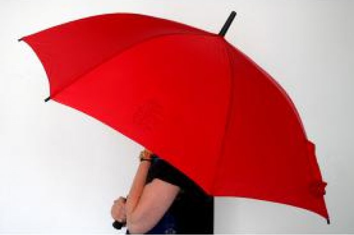 Le parapluie du Parti socialiste