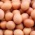 Rappel d'œufs contaminés à la Salmonelle : les produits à rapporter en magasin