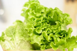 L-astuce pratique pour recuperer une salade fletrie