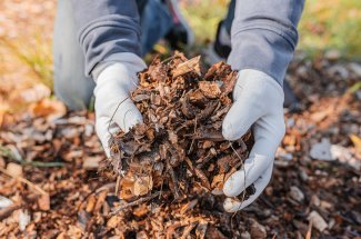 Voici comment eloigner les insectes nuisibles de votre compost de jardin