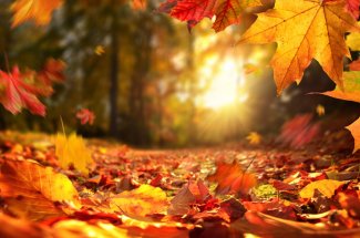 Meteo de l'automne : les previsions pour le mois d'octobre