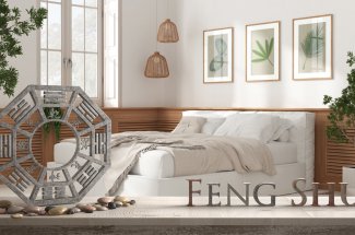 Feng Shui : les 5 plantes a mettre dans votre chambre pour bien dormir