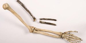 Normandie : le bras d’un pré-Néandertalien retrouvé sur les bords de Seine