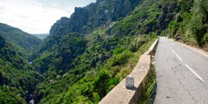 Haute-Corse : découverte d’un corps mutilé et sans tête 