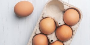 Quelle est la différence entre les œufs blancs et bruns ? 