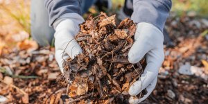 Voici comment éloigner les insectes nuisibles de votre compost de jardin