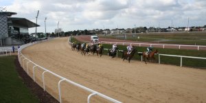 VIDEO Nantes : un cheval sort de la piste et fonce sur des spectateurs de l'hippodrome 