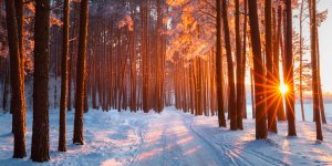 Météo de l’hiver 2023 : les prévisions pour le mois de février