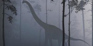 Extinction : peut-on disparaître comme les dinosaures ?