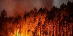 Feux de forêts : 4 départements en alerte orange