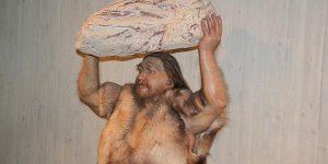 Gibraltar : l'homme de Néandertal, artiste de l'abstrait ?