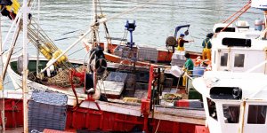 Dunkerque : un pêcheur soupçonné de faire passer des migrants en Angleterre