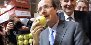 Cadeaux insolites : après un chameau, Hollande reçoit des pommes à son effigie