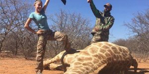 Afrique : une ado de 12 ans fait polémique en posant avec des animaux qu'elle a tués