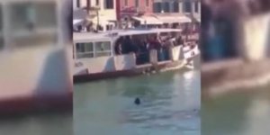 VIDÉO Venise : un réfugié se noie dans l'indifférence presque générale des témoins