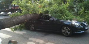 Un arbre s'effondre sur un véhicule en plein Paris 